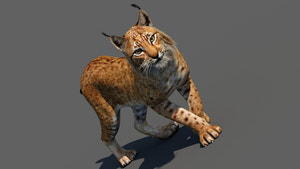 Tufted‑Ear Wildcats 3D Bundle — Caracal & Lynx (Rigged, Animated) Thumbnail