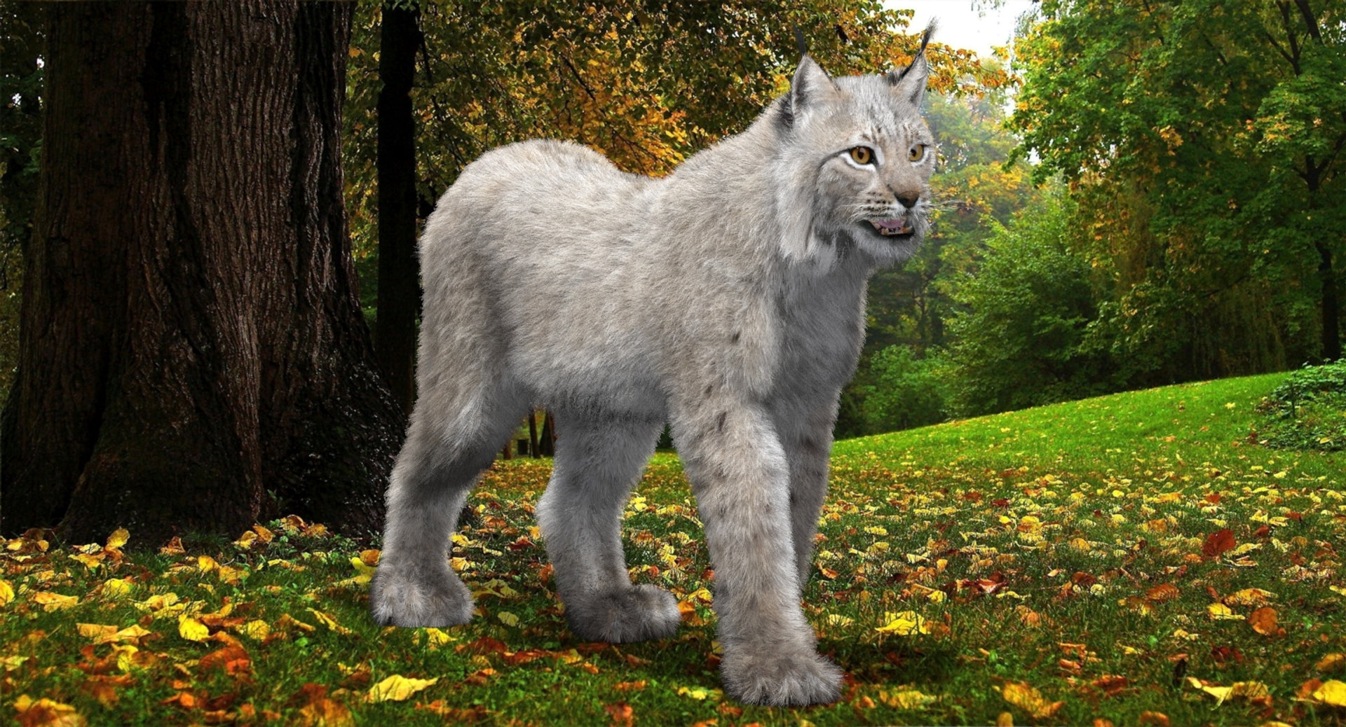 Animated White Eurasian Lynx with Fur