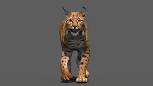 Animated Eurasian Lynx Cat 3D Model for Download Thumbnail