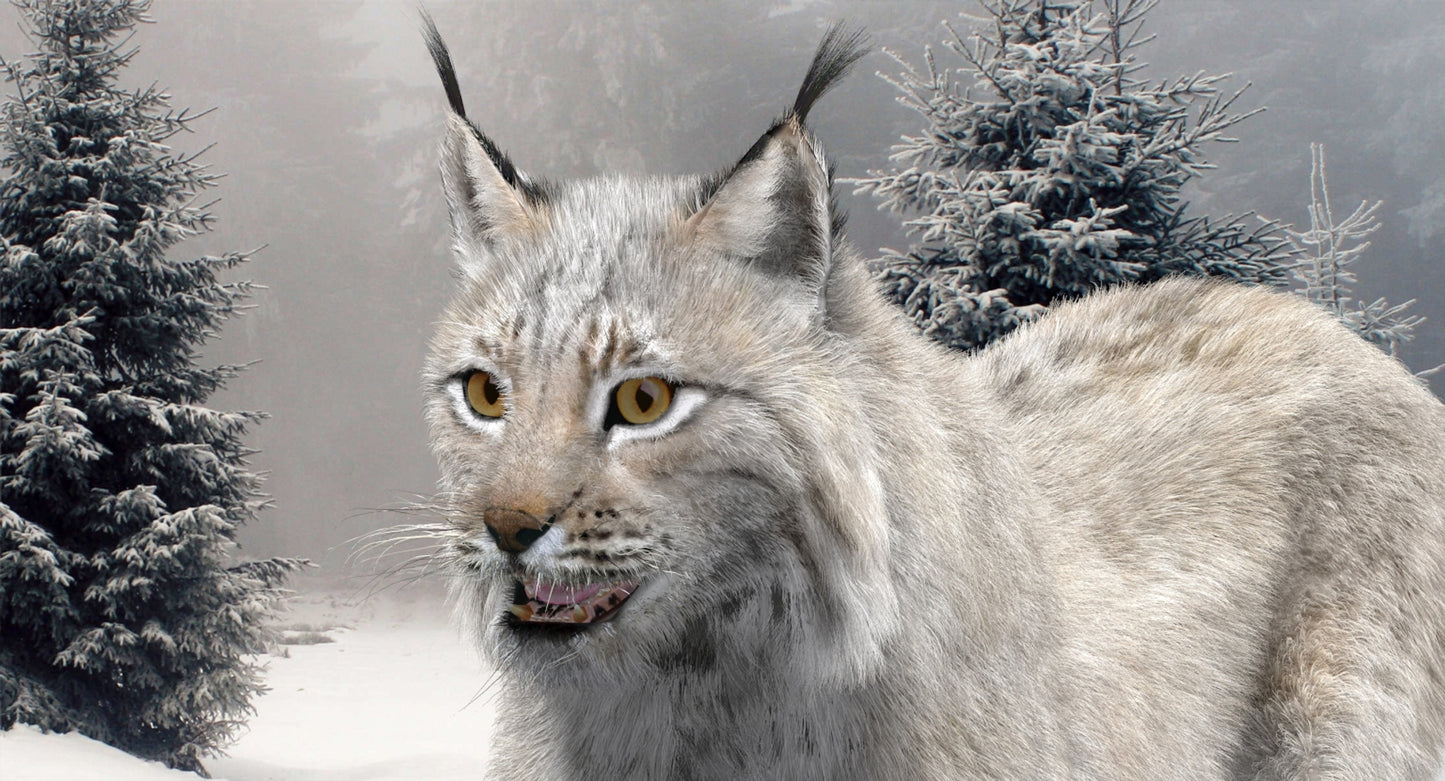 Animated White Eurasian Lynx Fur