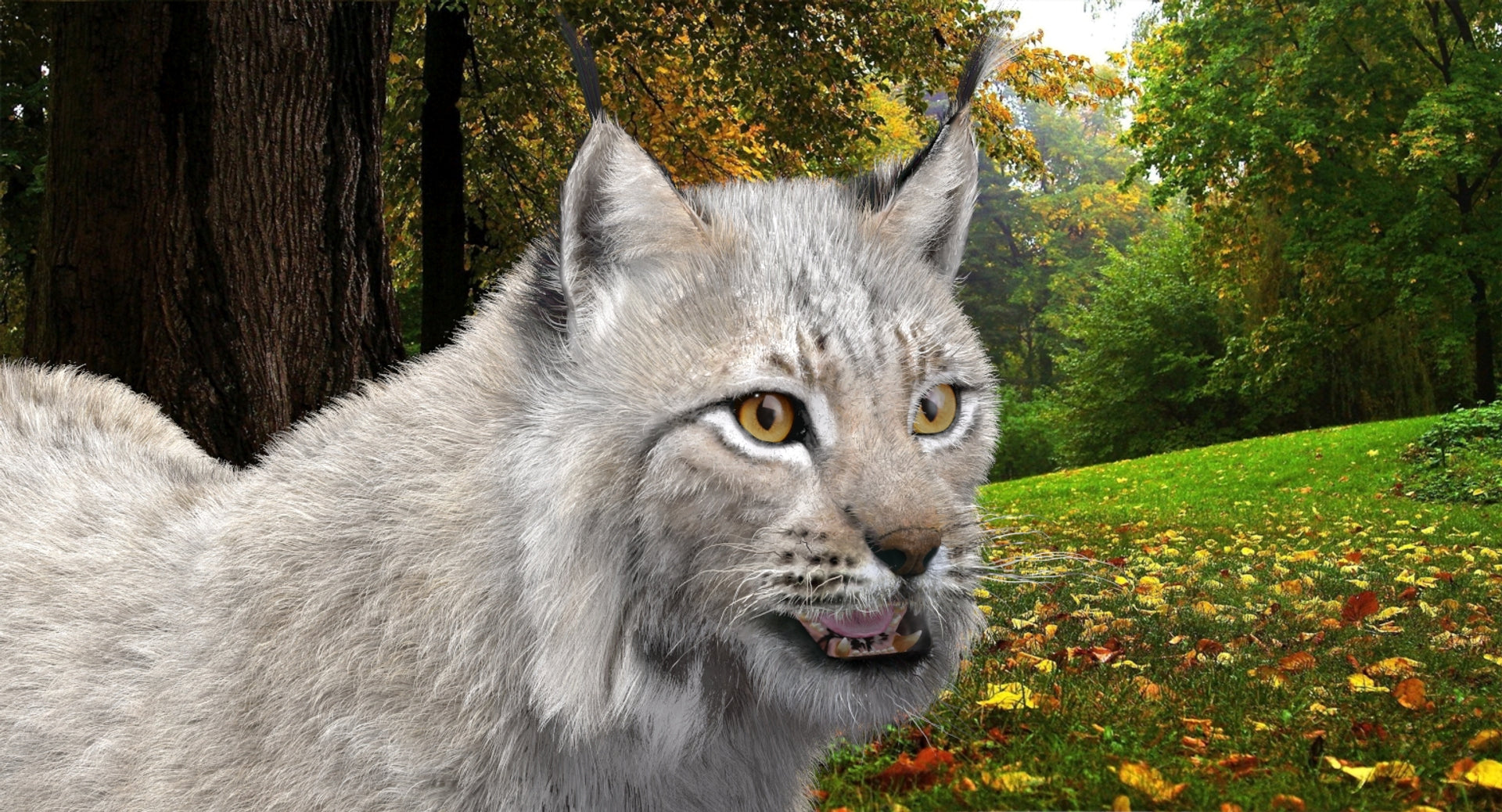 Animated White Eurasian Lynx with Fur