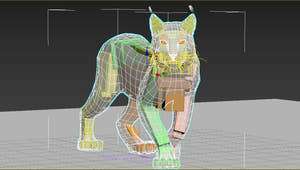 Lynx 3d Model Animated rigging Thumbnail