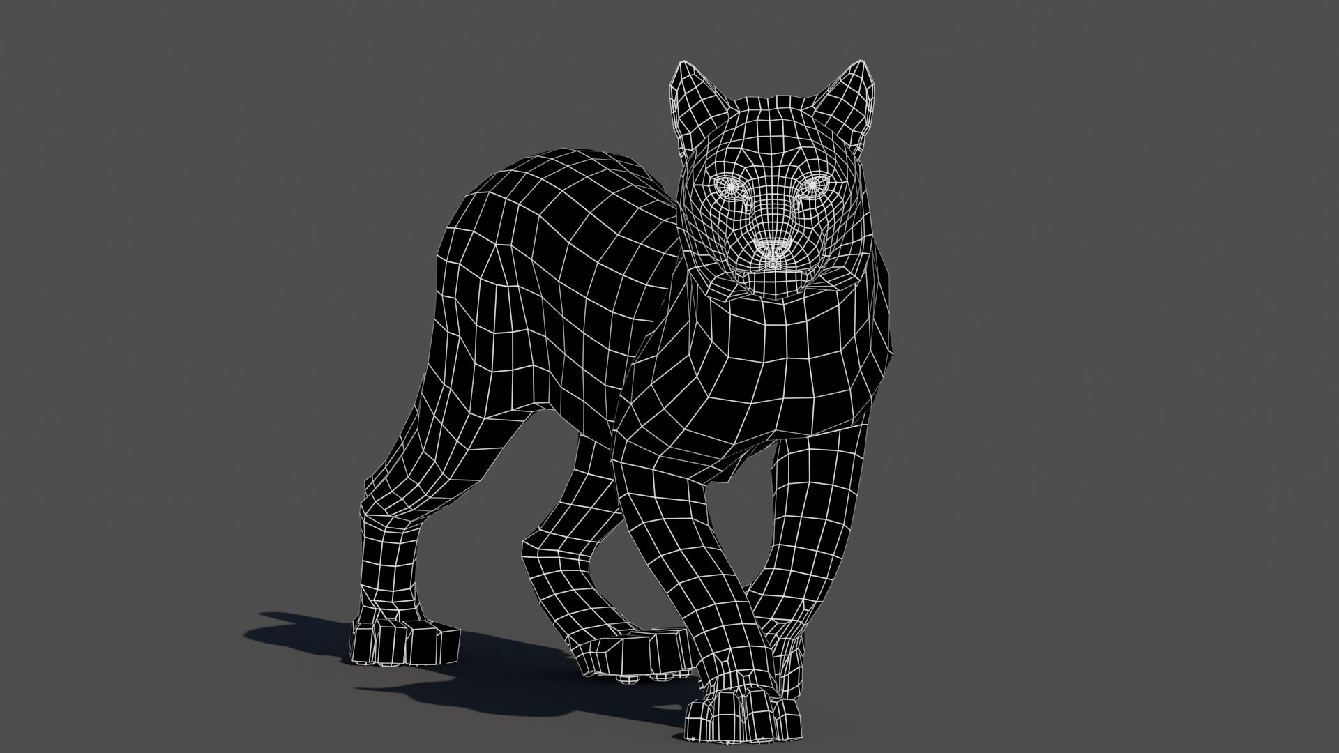Animated Lynx 3D Model - Wireframe View | Subdivision Level 0