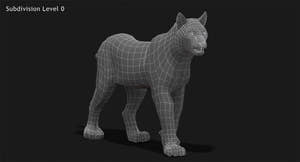 Animated White Eurasian Lynx Fur 3D Model Thumbnail