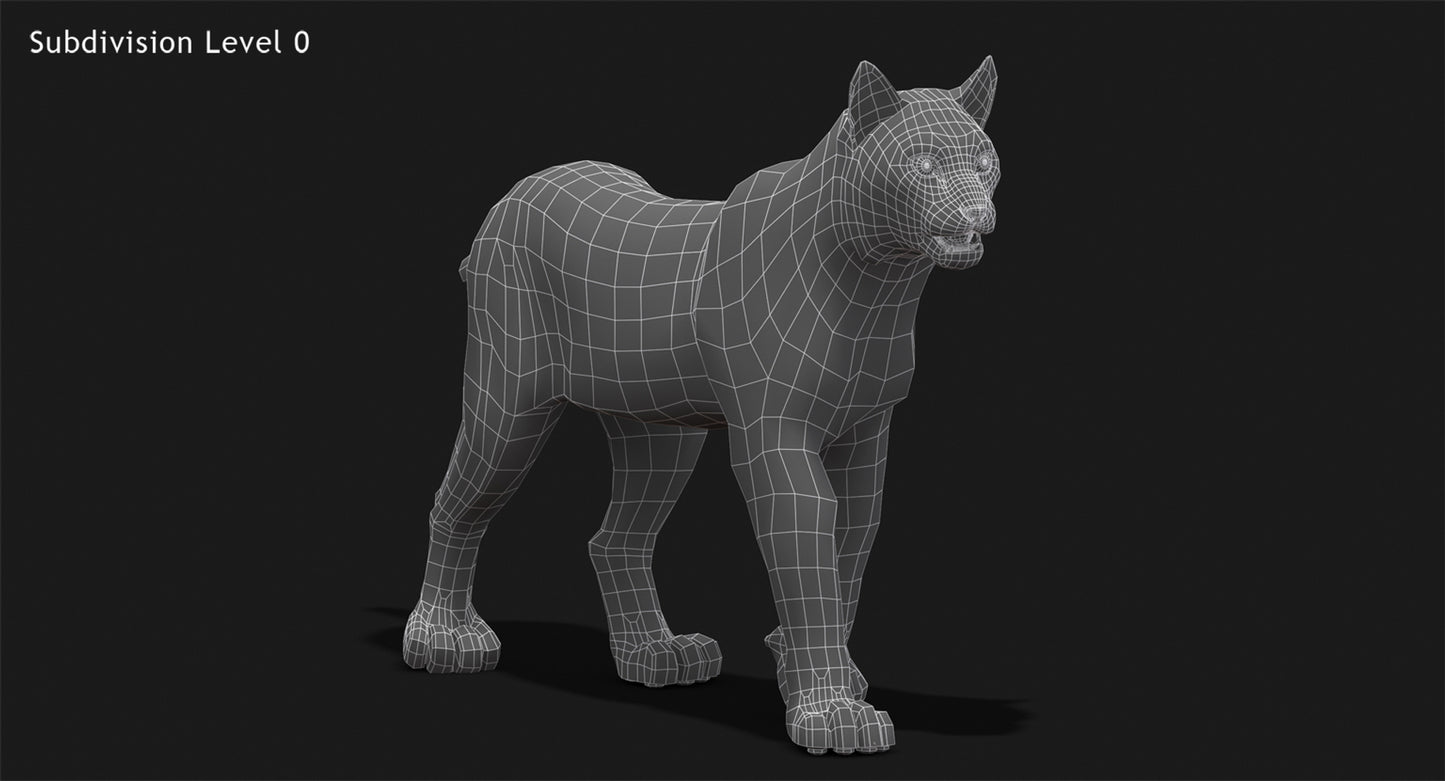 Animated White Eurasian Lynx Fur