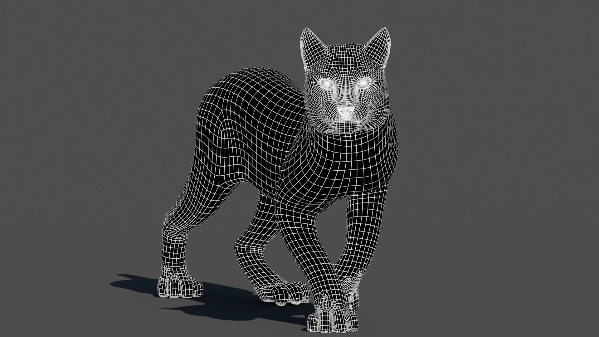 Animated Lynx 3D Model - Wireframe View | Subdivision Level 1