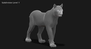 Animated White Eurasian Lynx 3D Model - Hair and Fur Thumbnail