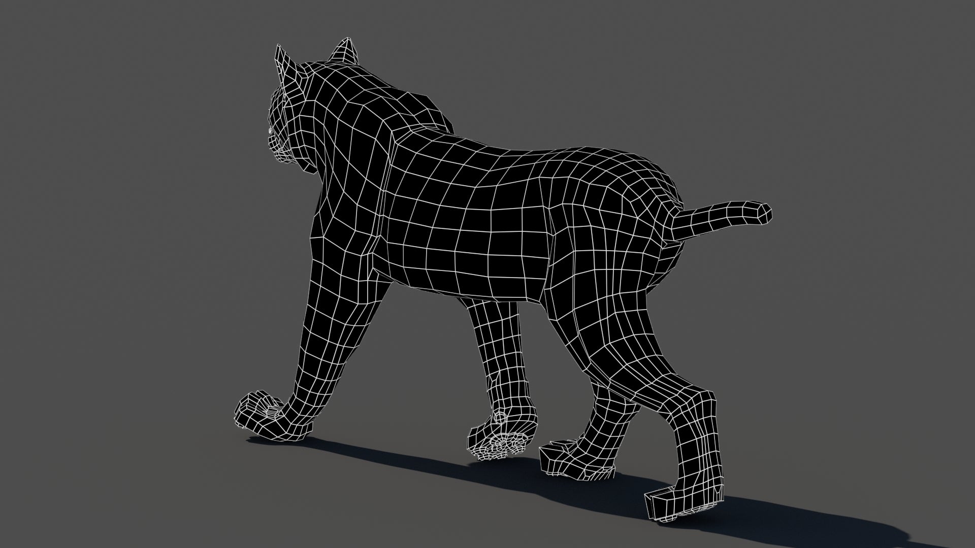 Animated Lynx 3D Model - Wireframe View | Subdivision Level 0
