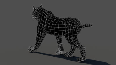 Animated Lynx 3D Model - Wireframe View | Subdivision Level 0