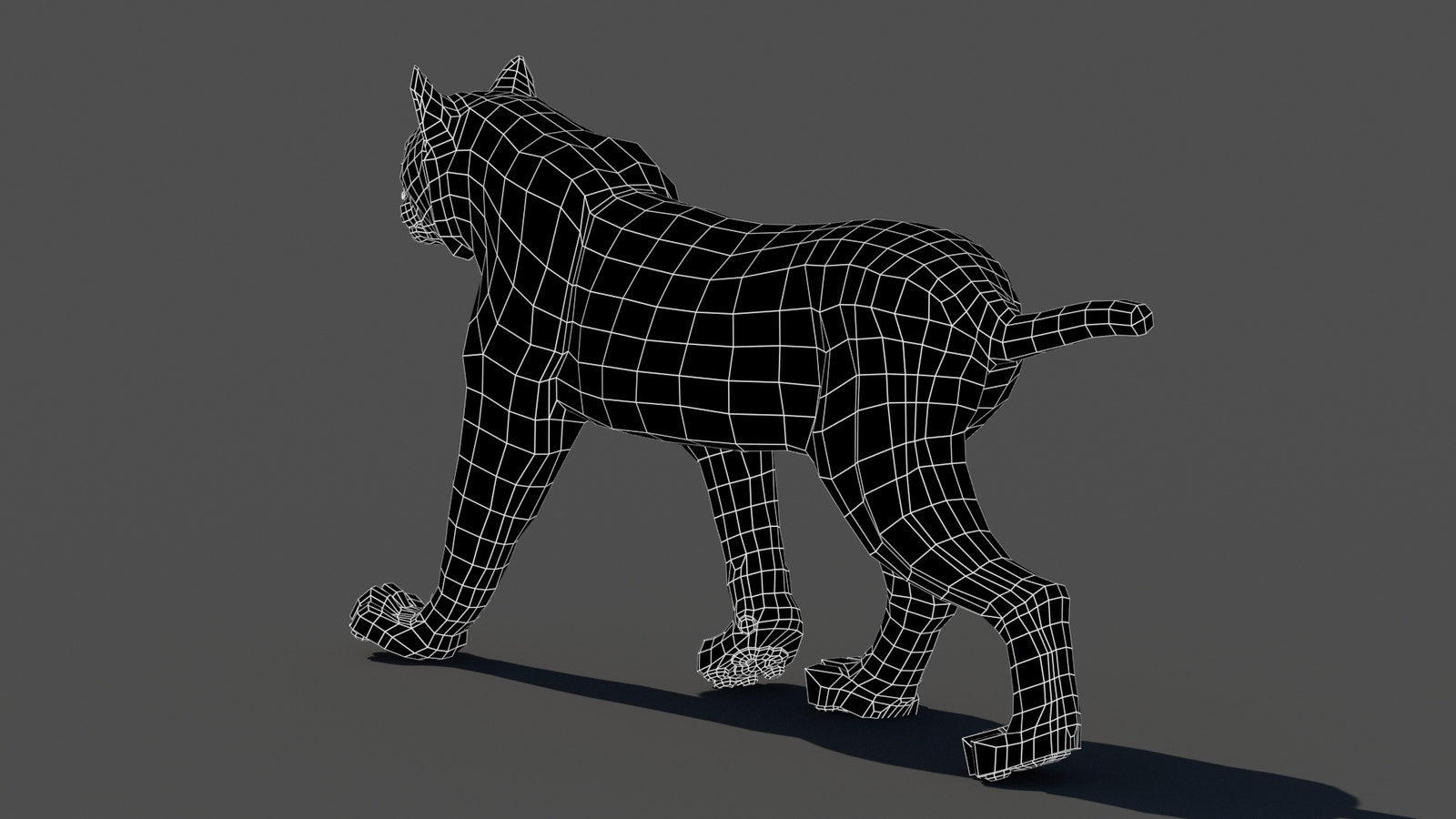 Tufted‑Ear Wildcats 3D Bundle — Caracal & Lynx (Rigged, Animated)