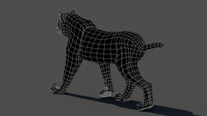 Tufted‑Ear Wildcats 3D Bundle — Caracal & Lynx (Rigged, Animated) Thumbnail