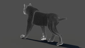Animated Lynx 3D Model - Wireframe View | Subdivision Level 1 Thumbnail
