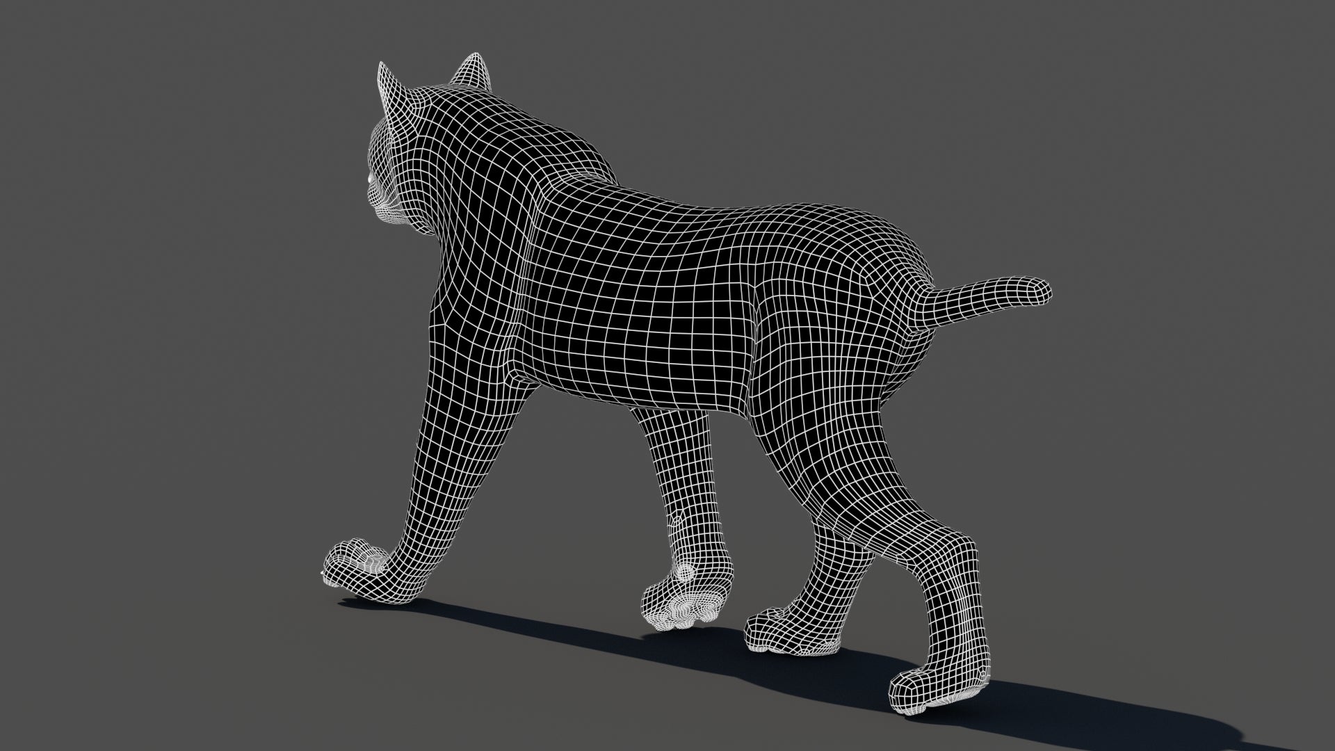Animated Lynx 3D Model - Wireframe View | Subdivision Level 1