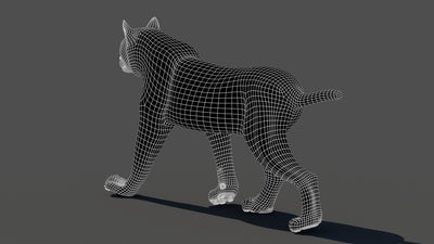 Animated Lynx 3D Model - Wireframe View | Subdivision Level 1