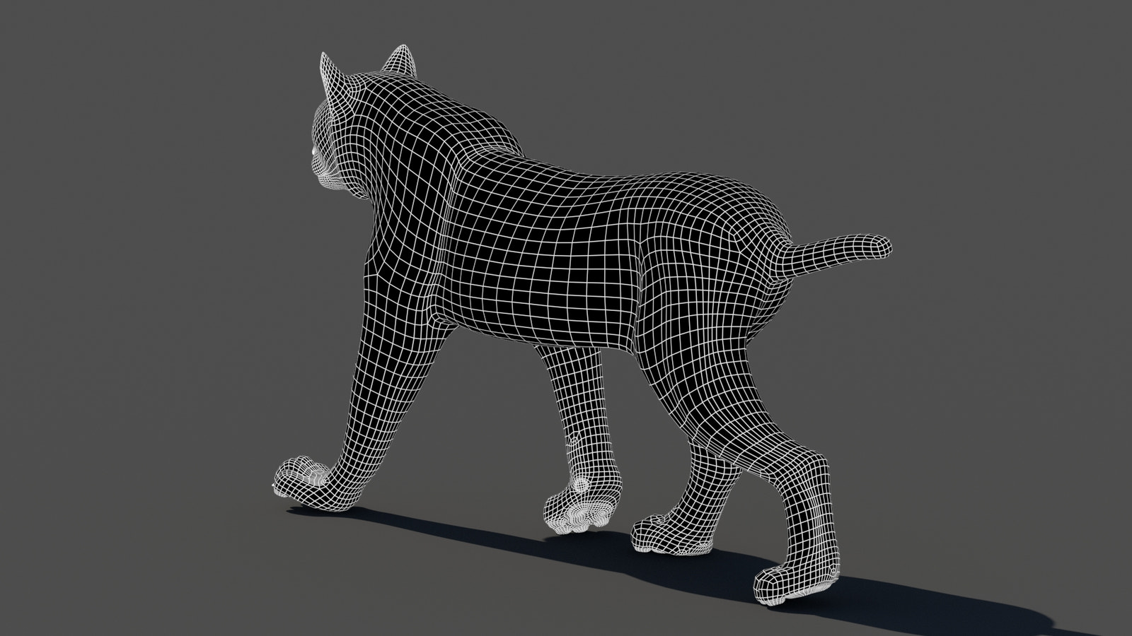 Tufted‑Ear Wildcats 3D Bundle — Caracal & Lynx (Rigged, Animated)