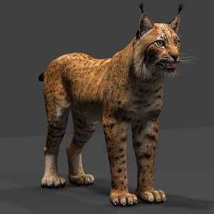 Big Cats 03 3D Model Thumbnail