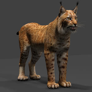 Big Cats 03 3D Model Thumbnail