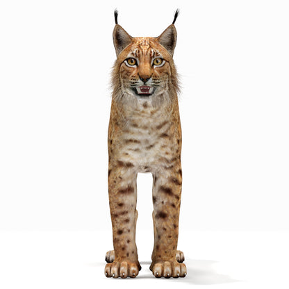 Big Cats 03 3D Model