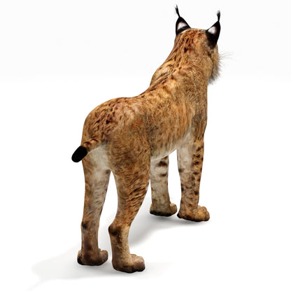 Big Cats 03 3D Model