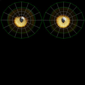 Big Cats 03 3D Model Thumbnail