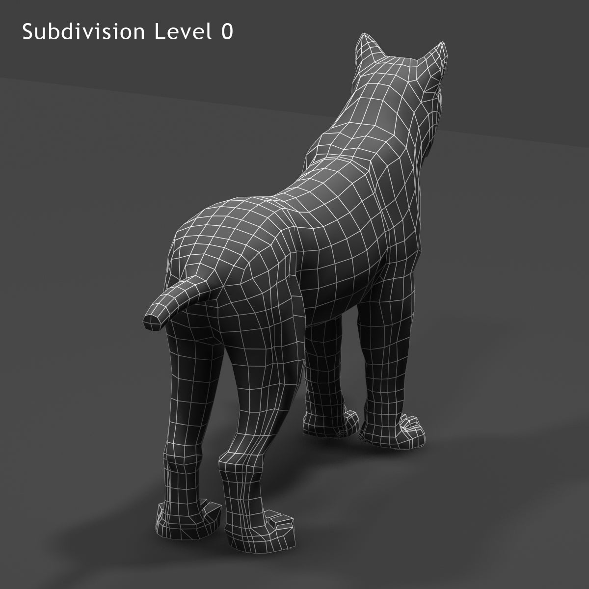 Big Cats 03 3D Model
