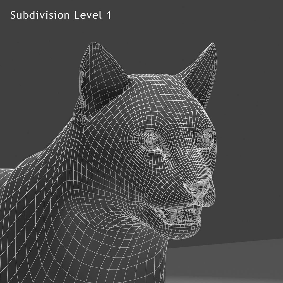 Big Cats 03 3D Model