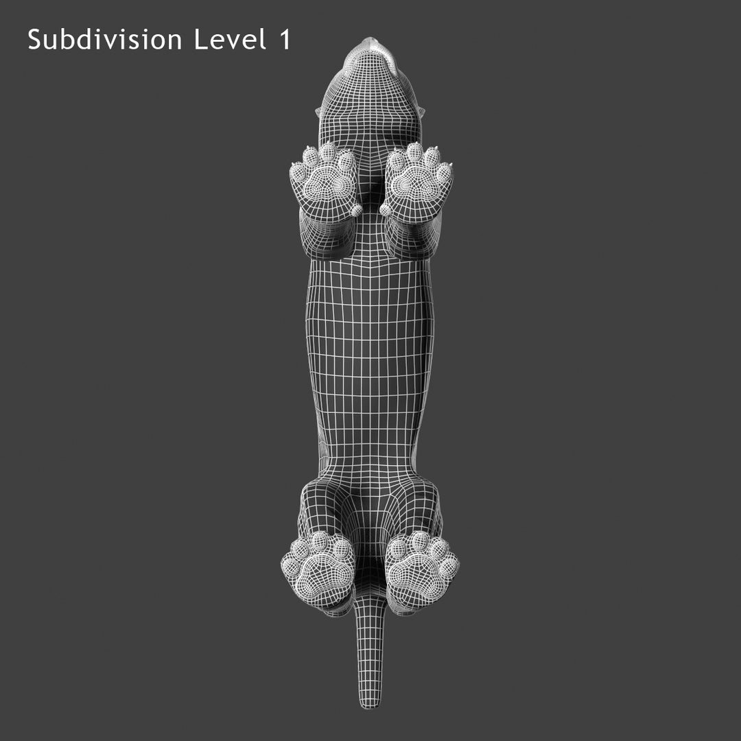 Big Cats 03 3D Model