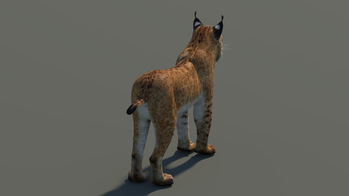 Low-Poly Eurasian Lynx 3D Model - Game-Ready