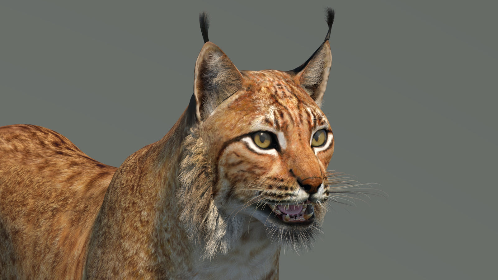 Low-Poly Eurasian Lynx 3D Model - Game-Ready