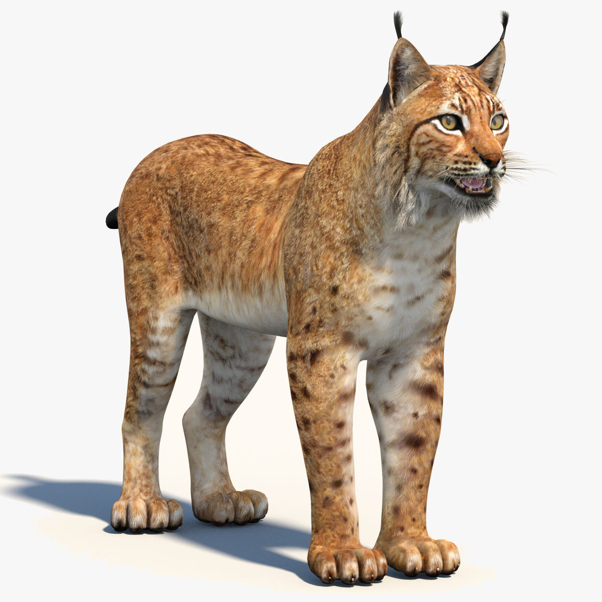 Low-Poly Eurasian Lynx 3D Model - Game-Ready