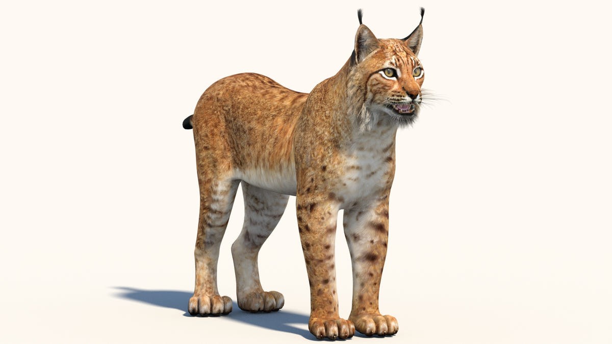 Low-Poly Eurasian Lynx 3D Model - Game-Ready