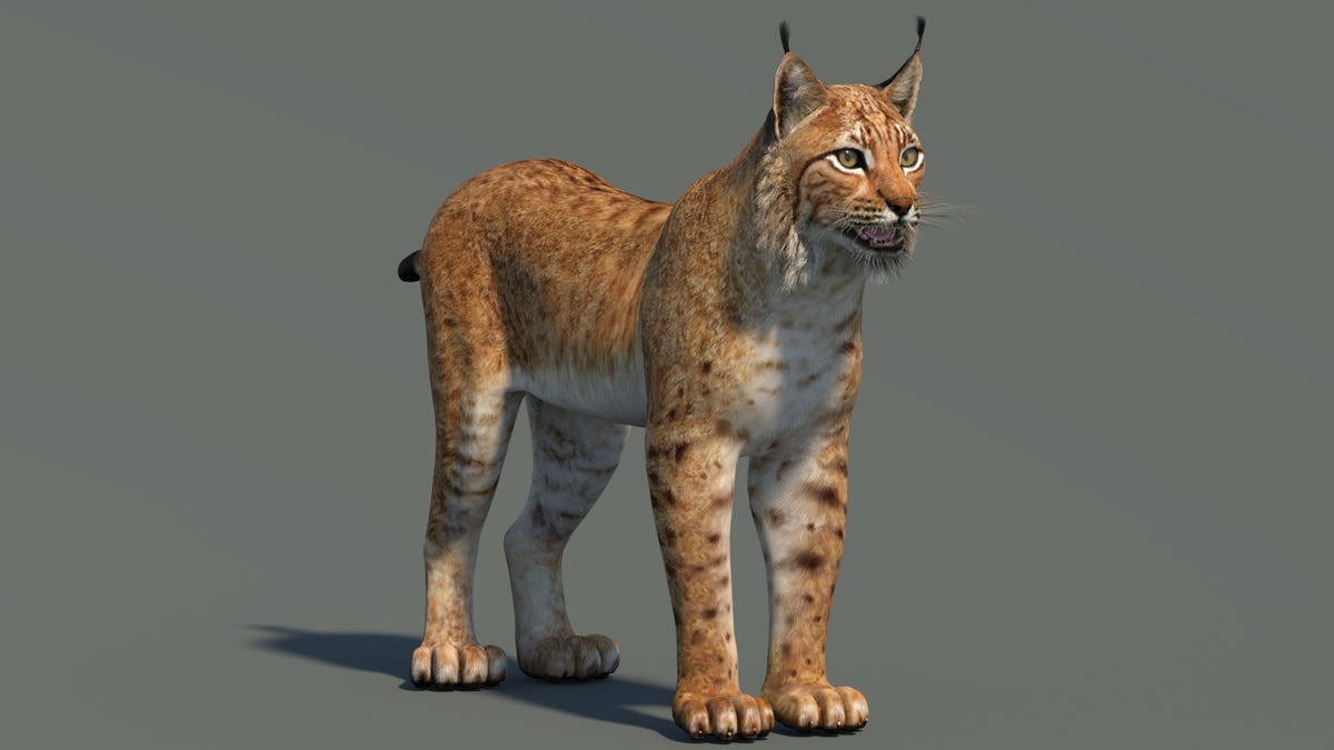 Low-Poly Eurasian Lynx 3D Model - Game-Ready