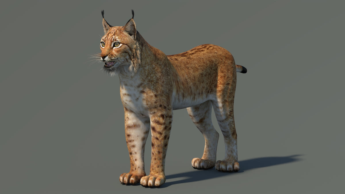 Low-Poly Eurasian Lynx 3D Model - Game-Ready