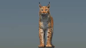 Eurasian Lynx 3D Model Thumbnail