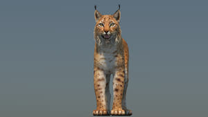 Low-Poly Eurasian Lynx 3D Model - Game-Ready Thumbnail