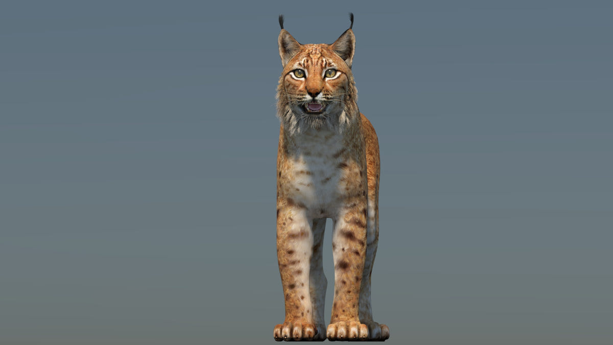 Low-Poly Eurasian Lynx 3D Model - Game-Ready