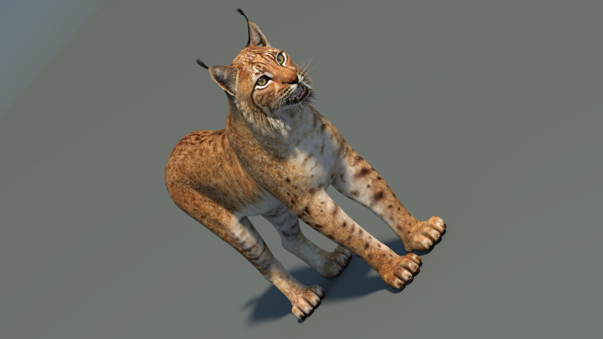 Low-Poly Eurasian Lynx 3D Model - Game-Ready