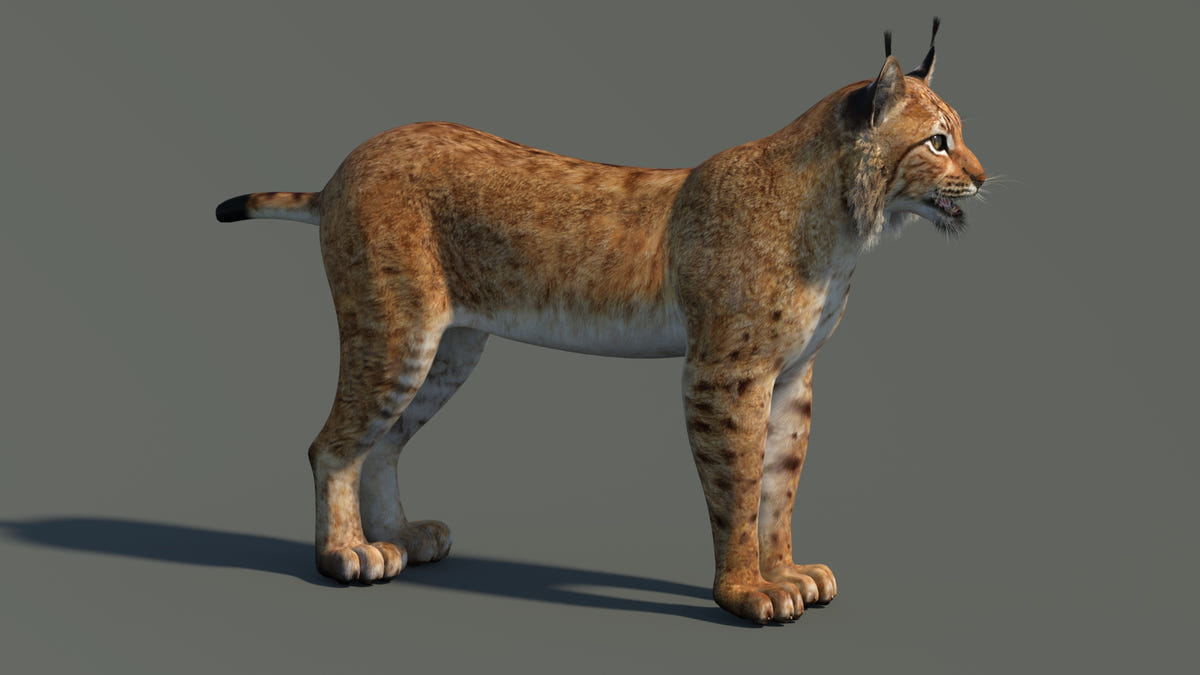Low-Poly Eurasian Lynx 3D Model - Game-Ready