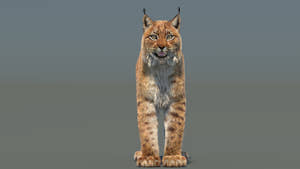 Eurasian Lynx 3D Model with Fur Thumbnail