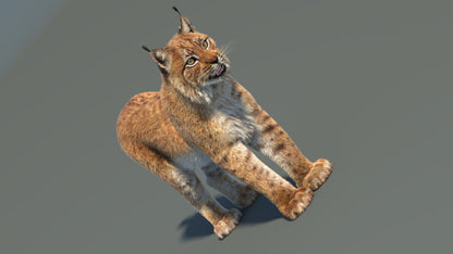 3D rendered lynx on a gray background
