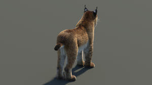 3D rendered lynx on a gray background Thumbnail