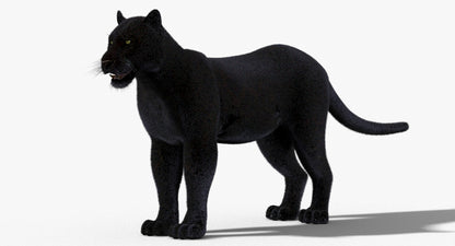 Black Panther 3D Model Fur