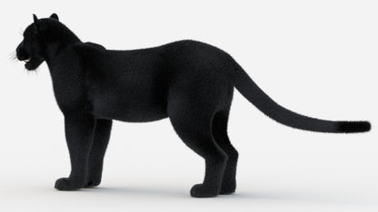 Black Panther 3D Model Fur