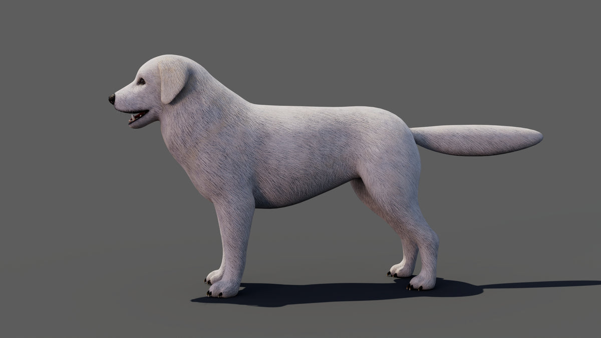 Rigged Great Pyrenees Dog 3D Model - Game-Ready - 360 Degree View