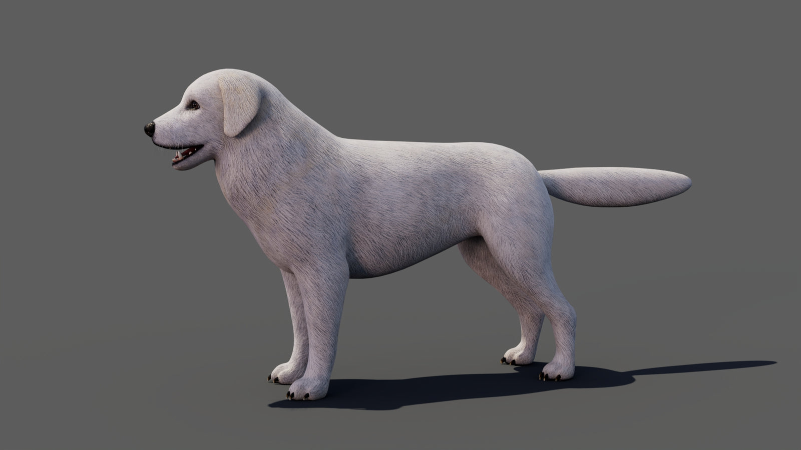 Great Pyrenees Dog 3D Model 360° view 1 frame 2