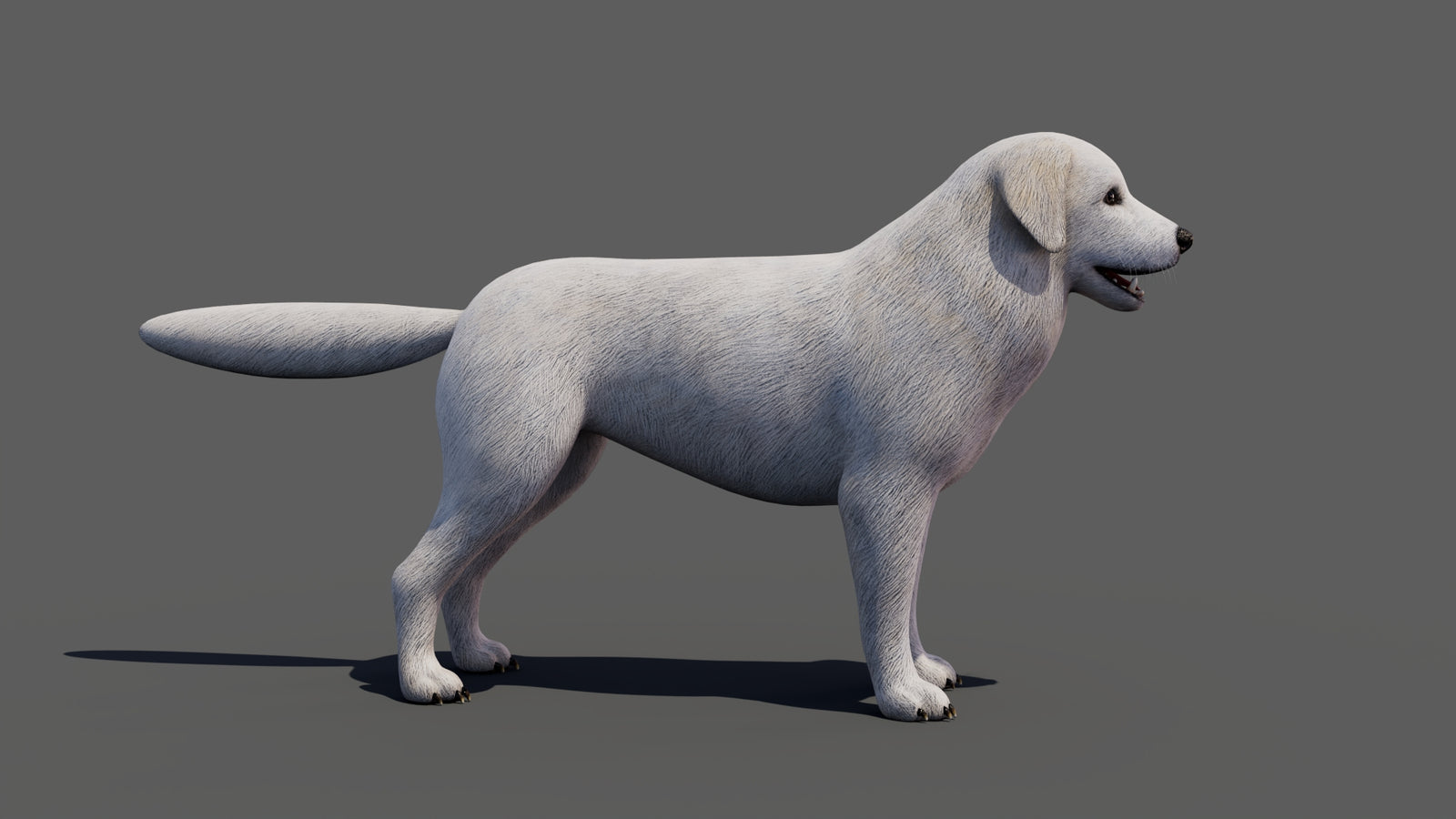 Great Pyrenees Dog 3D Model 360° view 1 frame 17