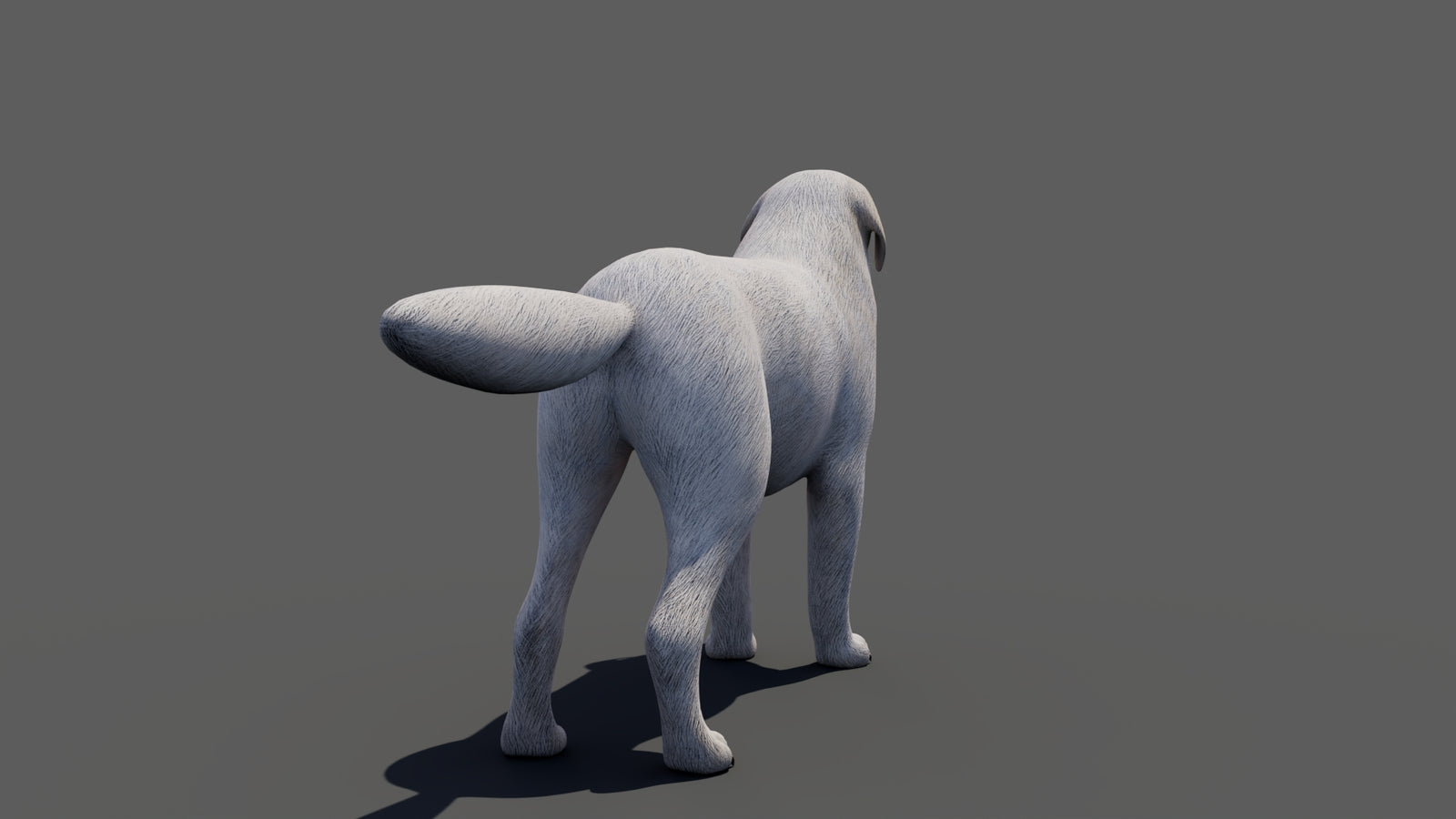 Great Pyrenees Dog 3D Model 360° view 1 frame 25