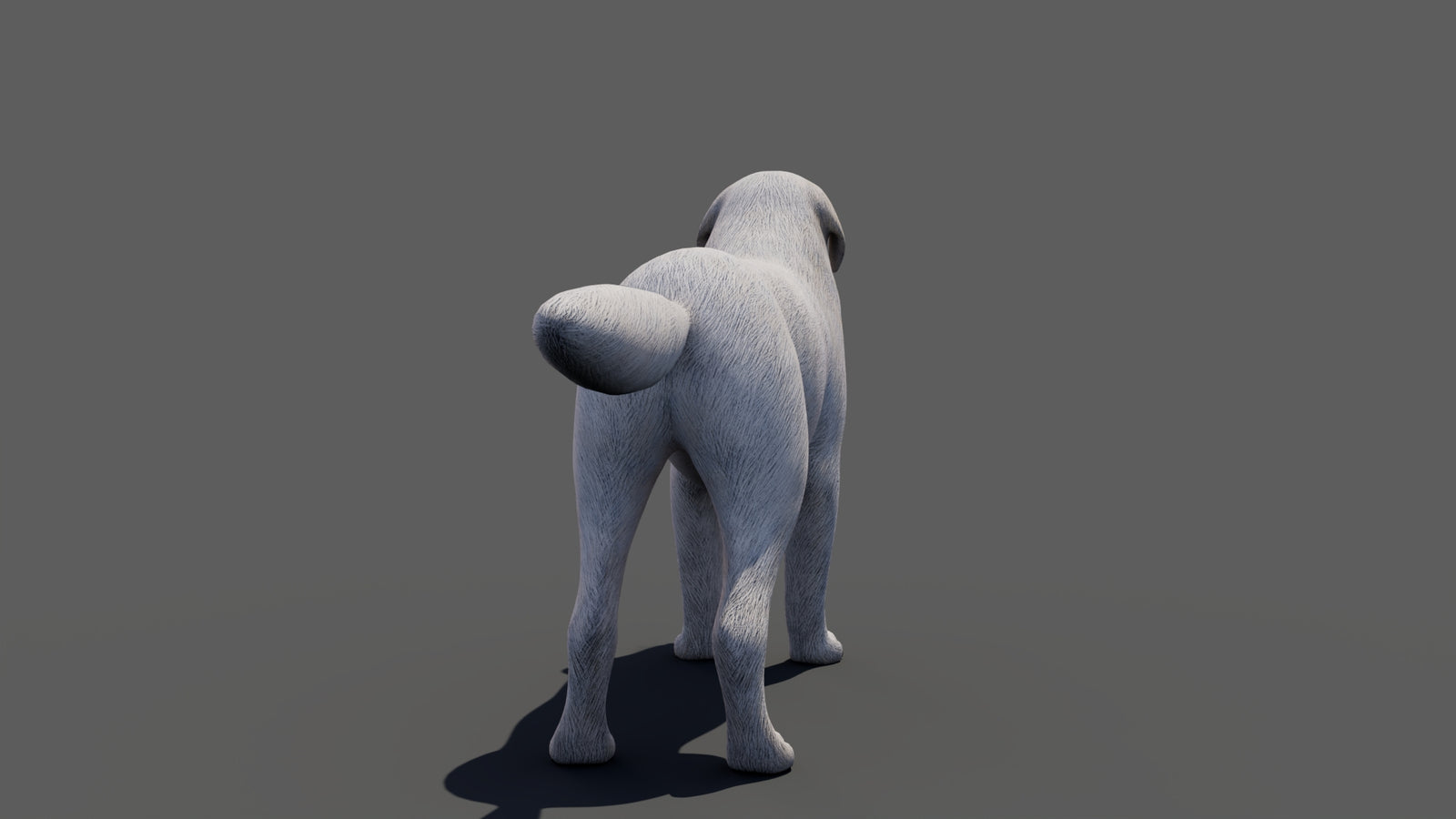 Great Pyrenees Dog 3D Model 360° view 1 frame 26