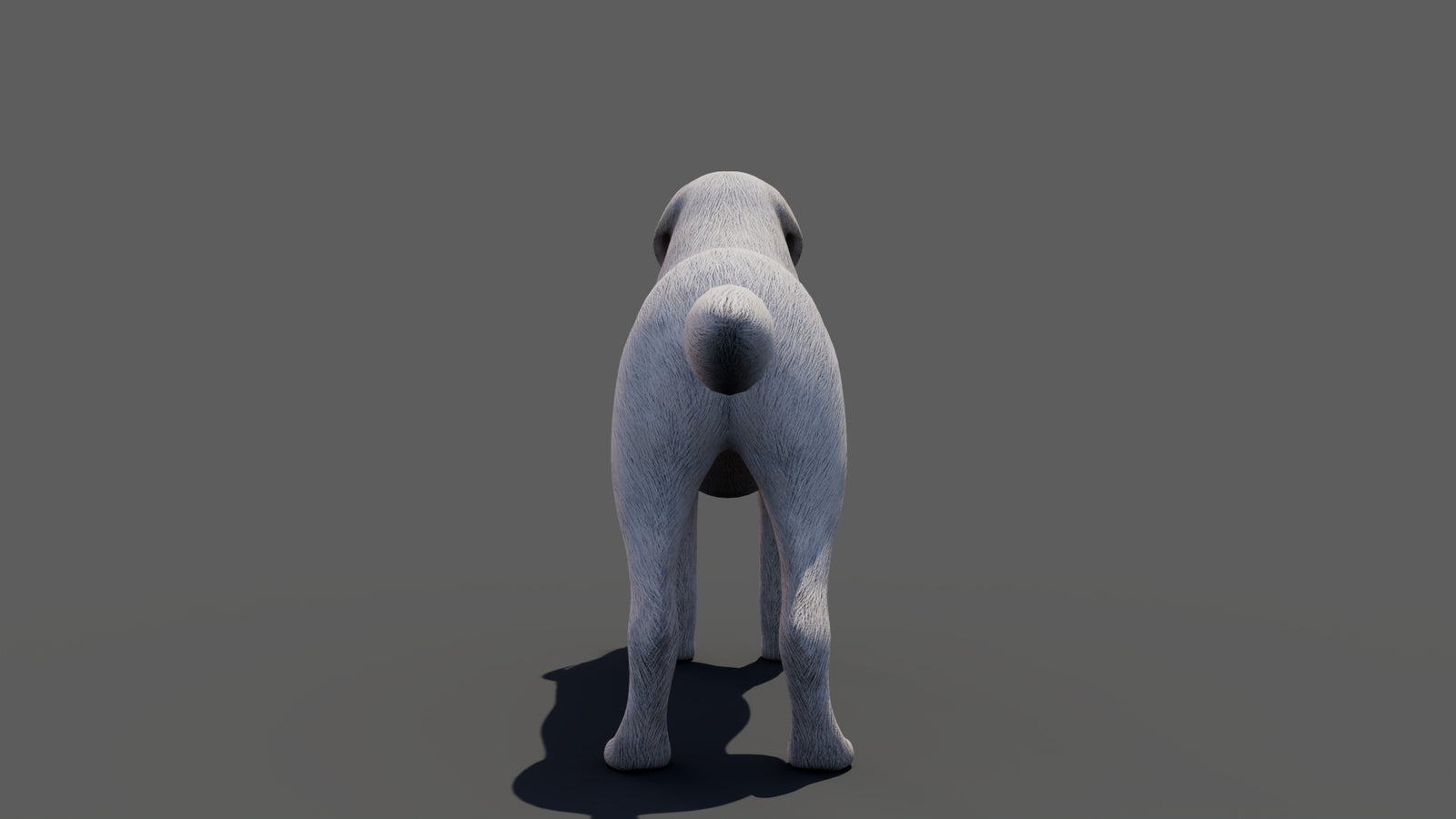 Great Pyrenees Dog 3D Model 360° view 1 frame 27