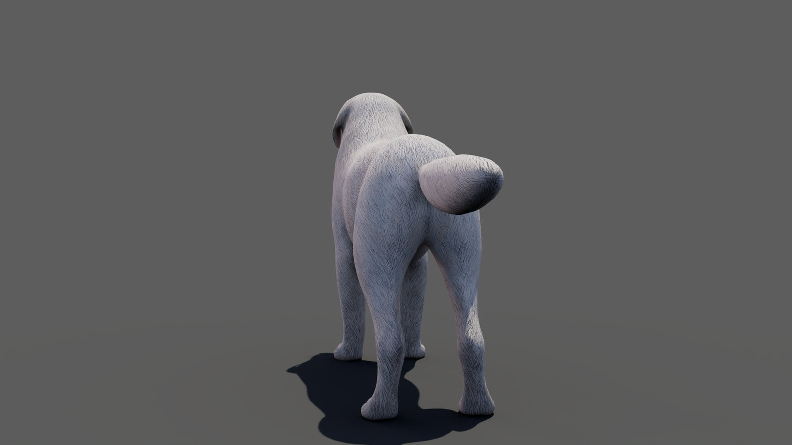 Great Pyrenees Dog 3D Model 360° view 1 frame 28